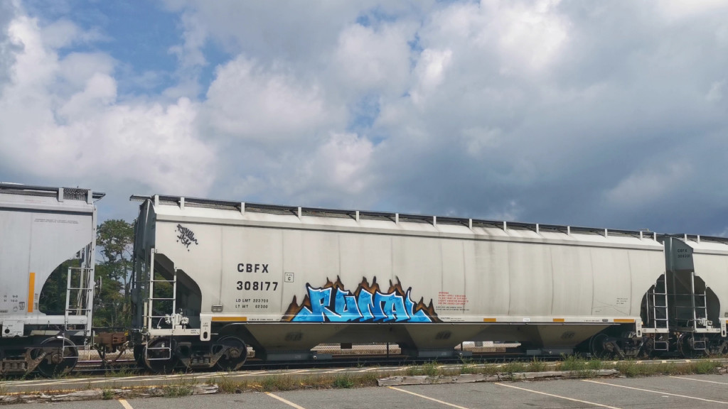 CBFX 308177